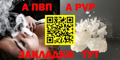 стаф Новокубанск
