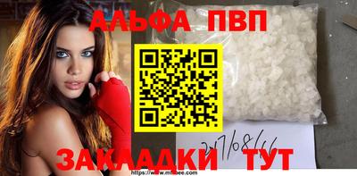 стаф Новокубанск