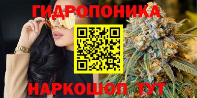стаф Новокубанск
