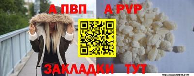 стаф Новокубанск