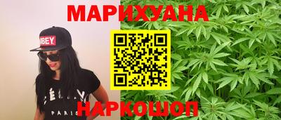 стаф Новокубанск