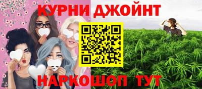 стафф Новозыбков