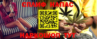 стаф Новокубанск