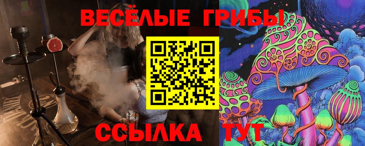 Псилоцибиновые грибы Cubensis Свободный