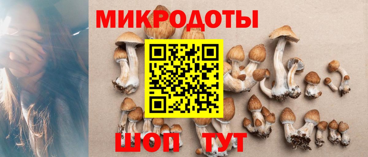 Псилоцибиновые грибы MAGIC MUSHROOMS  Вход с VPN  Свободный 